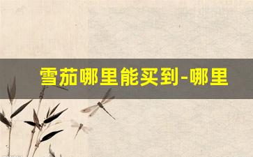 雪茄哪里能买到-哪里能购买雪茄