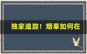 独家追踪！烟草如何在微信订烟“倒心伏计”