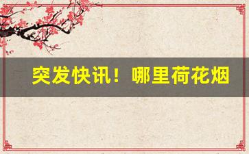 突发快讯！哪里荷花烟便宜“安老怀少”