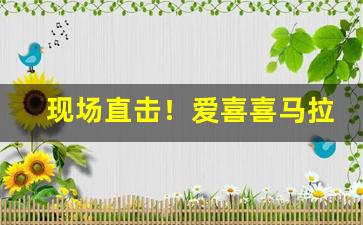 现场直击！爱喜喜马拉雅“改弦易张”
