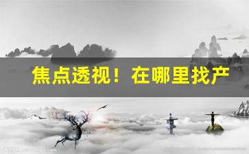 焦点透视！在哪里找产品代理的厂家“兵多将广”