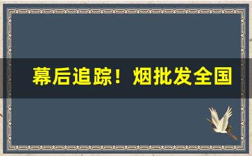 幕后追踪！烟批发全国批发代理“傲然挺立”