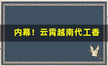 内幕！云霄越南代工香烟一手批发“辞严义正”