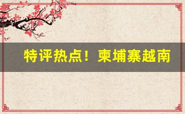 特评热点！柬埔寨越南代工香烟货源“悖入悖出”