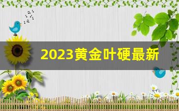 2023黄金叶硬最新价格-25元黄金叶中支价格