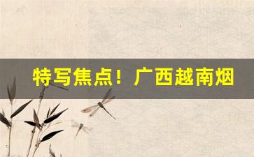 特写焦点！广西越南烟一手批发代理“聪明睿智”