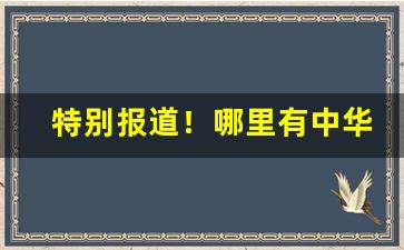 特别报道！哪里有中华香烟批发“安家落户”