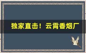 独家直击！云霄香烟厂家一手货源渠道微信“耳聪目明”