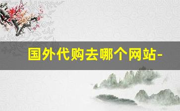 国外代购去哪个网站-正品代购app哪个最好