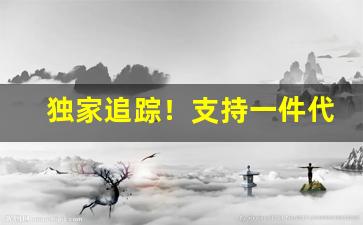 独家追踪！支持一件代发的厂家“不在话下”