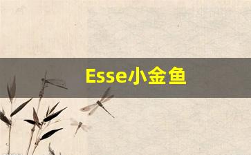 Esse小金鱼
