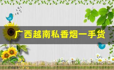 广西越南私香烟一手货源-广西东兴市越南边境香烟